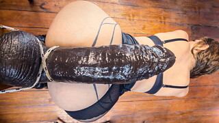 NO ANAL Restriction 2